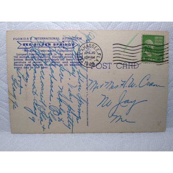 Greetings From Silver Springs Florida Large Letter Linen Postcard Curt Teich '49 - Picture 2 of 2